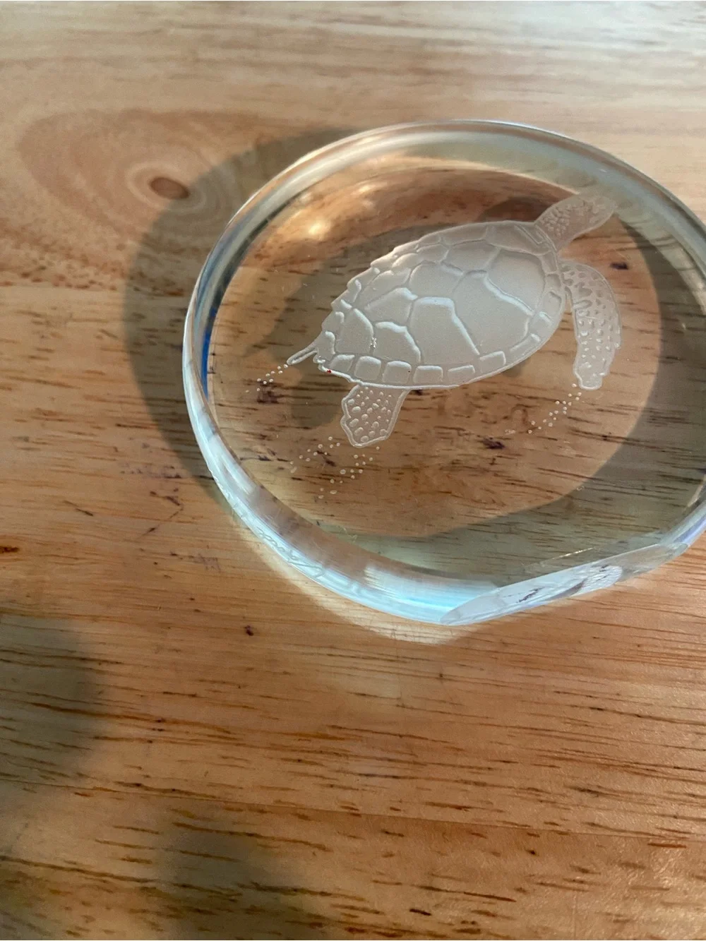 Clear Turtle Paperweight Signed David Alan